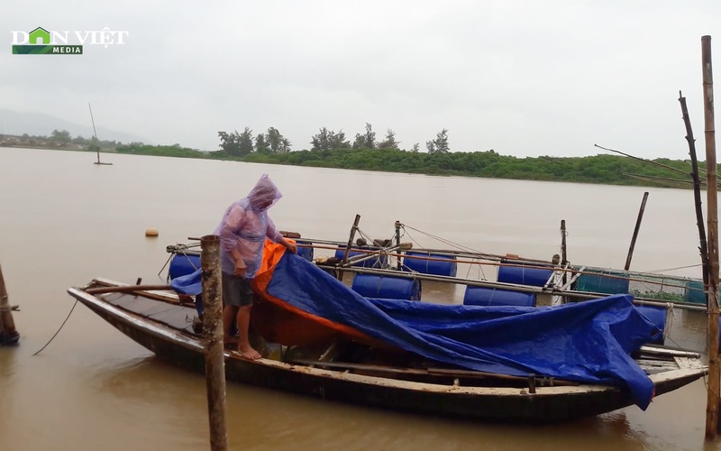 Gần 4.000 tàu cá ở Hà Tĩnh đã trú ẩn an toàn trước khi bão số 8 đổ bộ
