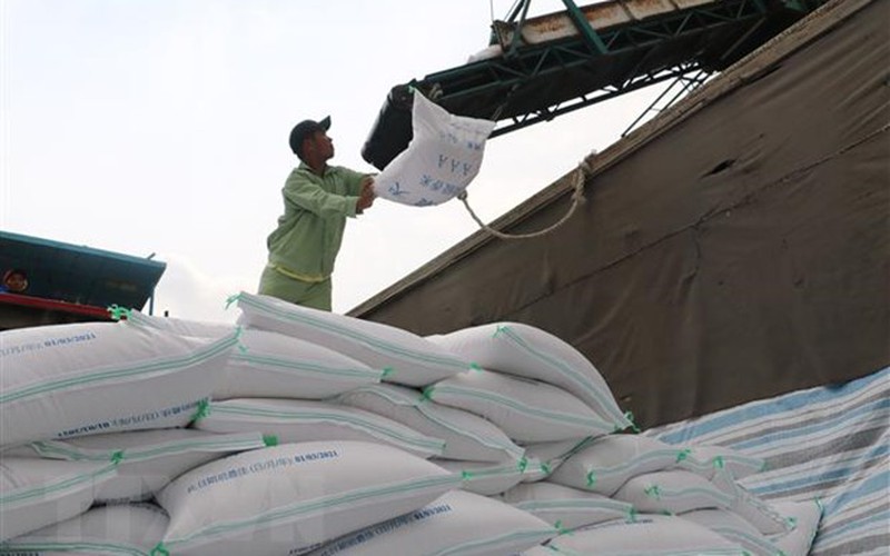Giá gạo Việt Nam tăng lên mức cao trong hai tháng rưỡi qua