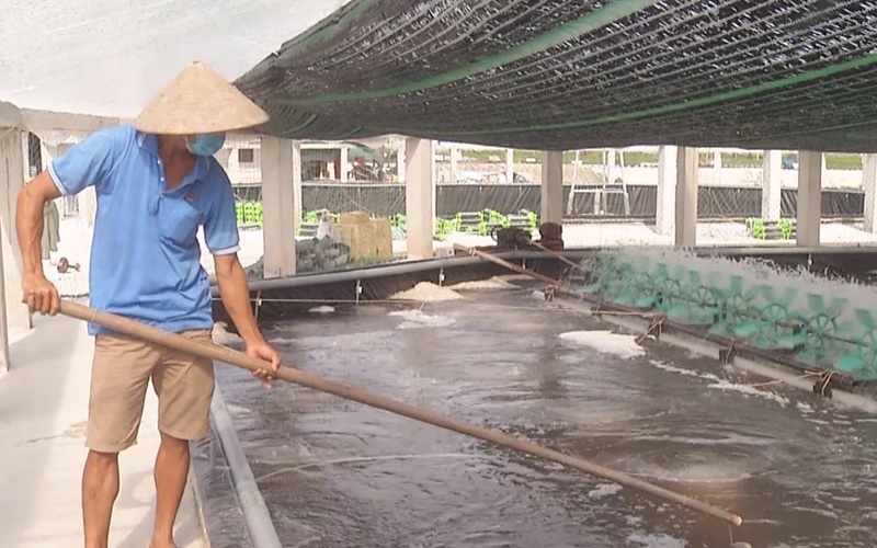 Ứng dụng khoa học kỹ thuật vào nuôi trồng thủy sản, nhiều hộ dân ở Nam Định thu lời gấp 2, 3 lần