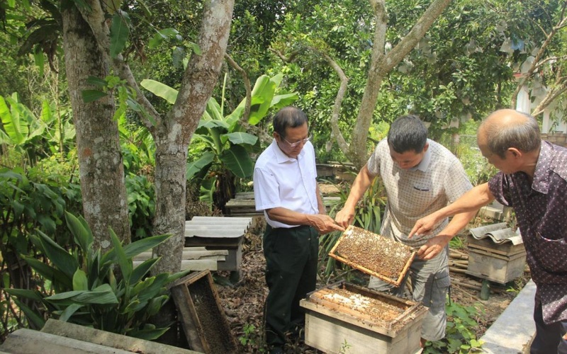 Bắc Giang: Thu hơn 6 tỷ/năm từ bán mật ong rừng, nông dân huyện miền núi này khấm khá hẳn lên 