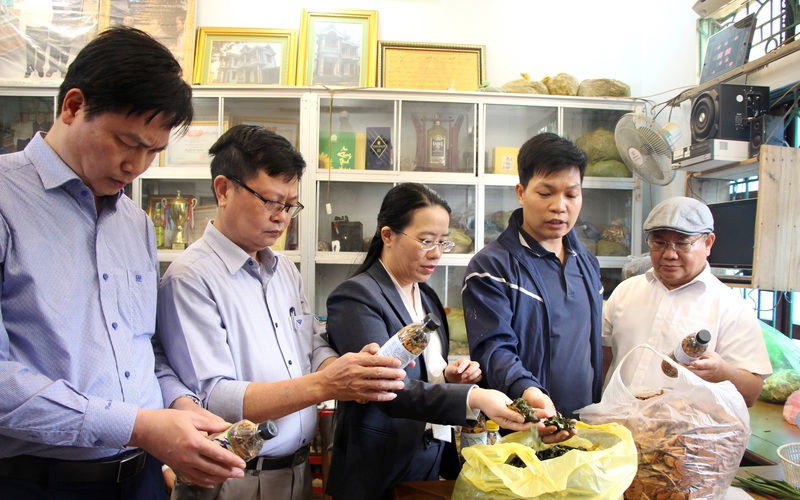 Hà Nội: Nhân rộng mô hình chi, tổ hội nghề nghiệp, nông dân Thủ đô giúp nhau làm giàu