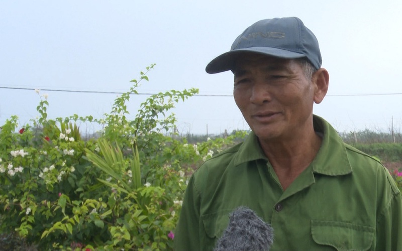 Trồng hoa hồng trong chậu như trồng cây cảnh, nông dân này của tỉnh Thái Bình "bỏ túi" hàng trăm triệu/năm