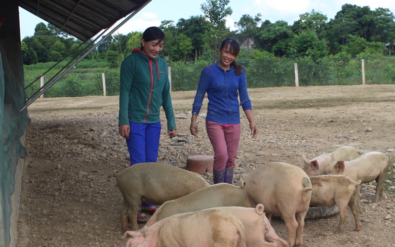 Hà Tĩnh": Giúp nông dân trẻ có vốn làm kinh tế trang trại