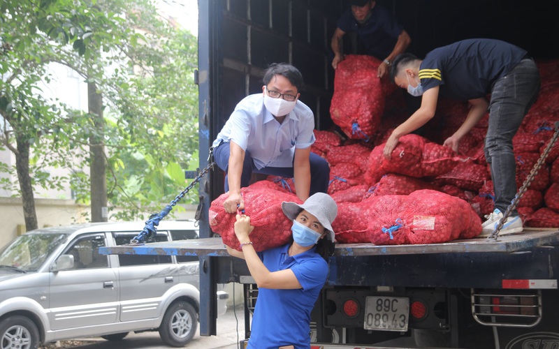 Hội nông dân tỉnh Thái Nguyên hỗ trợ tiêu thụ 17 tấn hành tím cho bà con nông dân Sóc Trăng