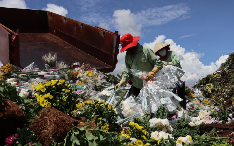 Doanh nghiệp và người dân "khóc ròng" vì hàng trăm nghìn cành hoa xuất khẩu bị trả ngược