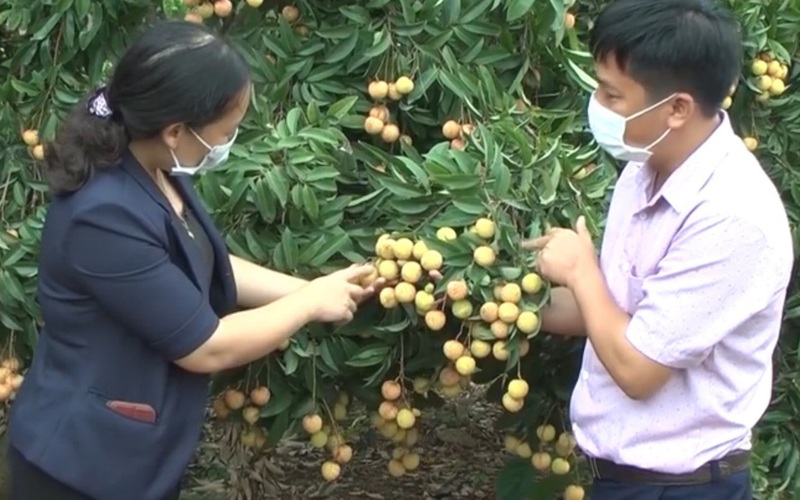 Nữ cán bộ nông nghiệp có công đưa nông sản Việt vươn ra thị trường thế giới
