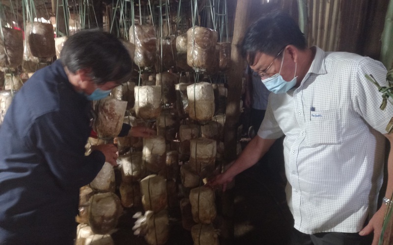 Đà Nẵng: Hội Nông dân tháo gỡ khó khăn về vật tư nông nghiệp cho người trồng hoa, trồng nấm