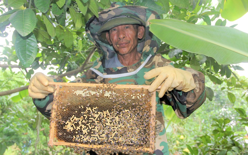 Hà Tĩnh: Dù giá mật ong giảm rất sâu, nhưng vì sao nông dân vẫn bán mật ong trầy trật?