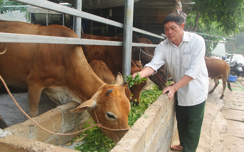 Phù Yên: Vừa giãn cách xã hội, vừa đảm bảo sản xuất nông nghiệp