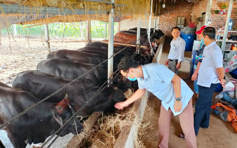 Quảng Nam: Hội Nông dân thị xã Điện Bàn sát cánh cùng nông dân thực hiện thắng lợi mục tiêu kép năm 2021