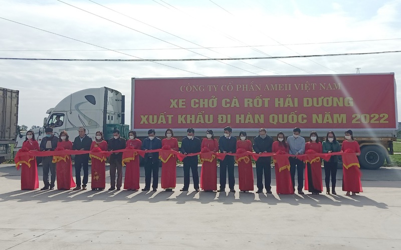  Loại củ đỏ au, ăn vào sáng mắt đẹp da được mùa, được giá, tỉnh này xuất ngay sang Hàn Quốc 625 tấn