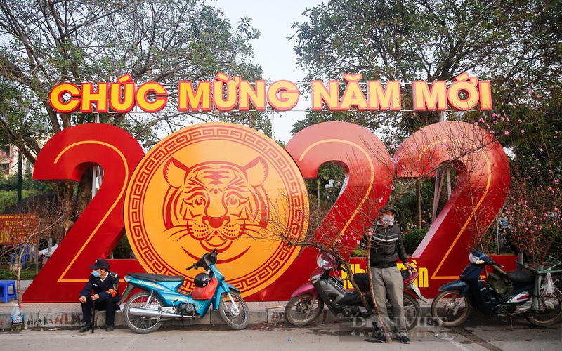 Khoảnh khắc Tết len lỏi trên từng con phố, ngõ ngách ở Hà Nội
