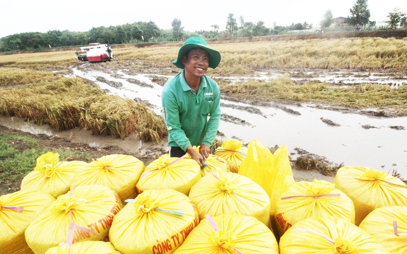 Phó Chủ tịch Hội NDVN Cao Xuân Thu Vân kêu gọi nông dân liên kết sản xuất nông sản có trách nhiệm