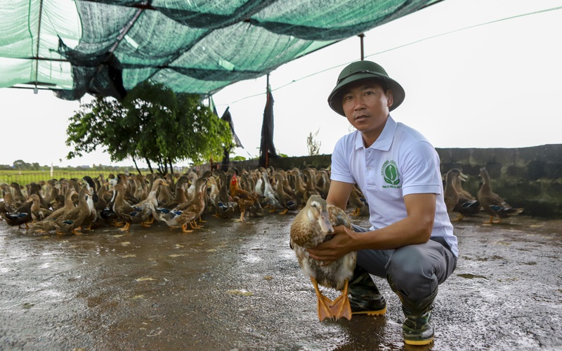 Nuôi vịt biển lãi 2 tỷ/năm, một nông dân Thái Bình được bình chọn là Nông dân Việt Nam xuất sắc 2022