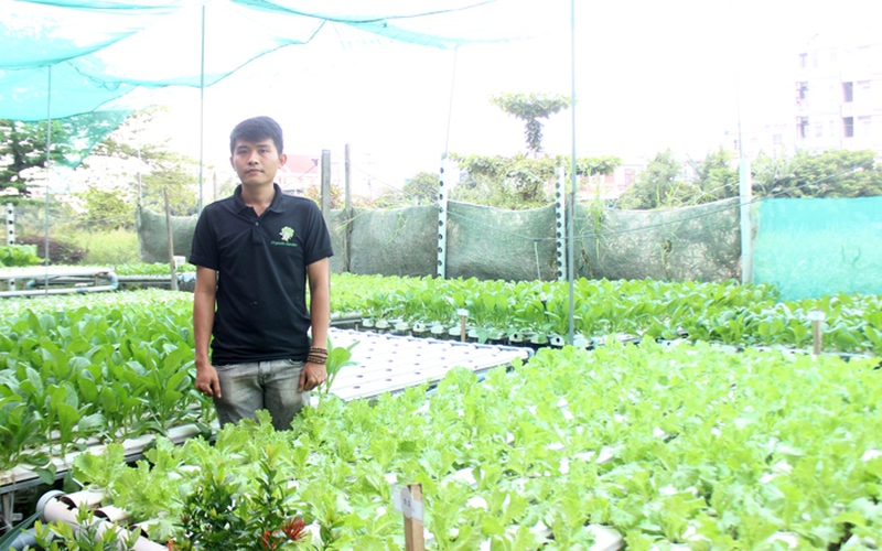 Quận Bình Tân triển khai hàng loạt chính sách phát triển HTX nông nghiệp