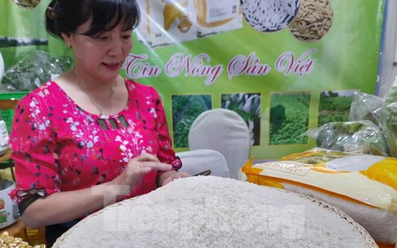 Giá gạo Việt Nam tăng vượt Thái Lan, gạo 100% tấm 'cháy' hàng