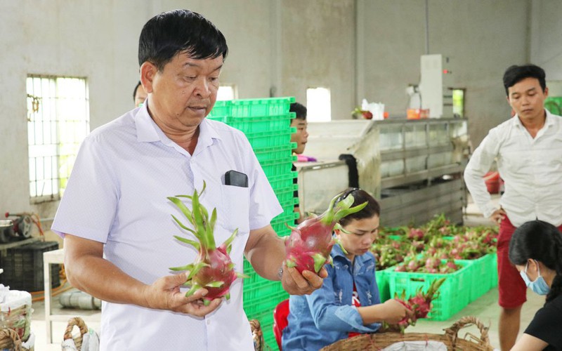 Đây là những nông dân 2 lần được vinh danh “Nông dân Việt Nam xuất sắc”