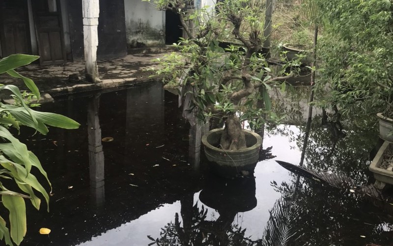 Dự án 215 tỷ ở TT-Huế gây ngập úng nghiêm trọng: Yêu cầu chủ đầu tư khẩn trương khắc phục