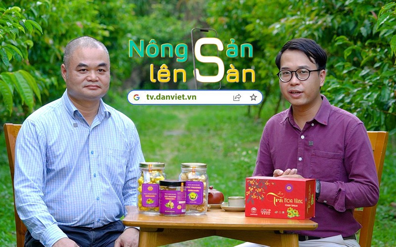 NÔNG SẢN LÊN SÀN: Người đàn ông chinh phục hơn 30 giống Trà hoa vàng quý hiếm ở Việt Nam