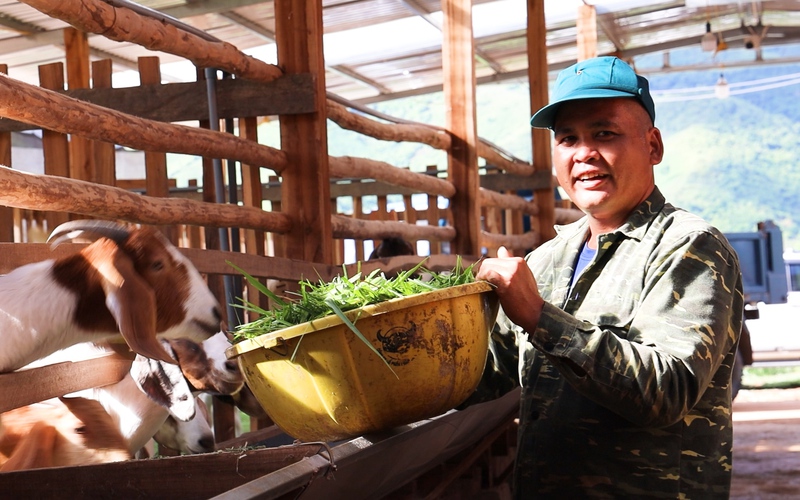 Sơn La: Nông dân thu nhập cao từ chăn nuôi gia súc, gia cầm