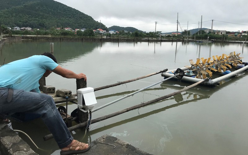 Mưa lớn xối xả ở Nghệ An, nước cuốn trôi tôm cá, có nhà mất sạch 500 triệu khi trời sáng