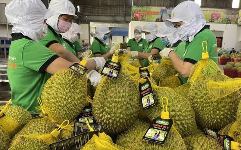  8 nông sản Việt giá trị tỷ USD xuất khẩu nhiều nhất sang Mỹ