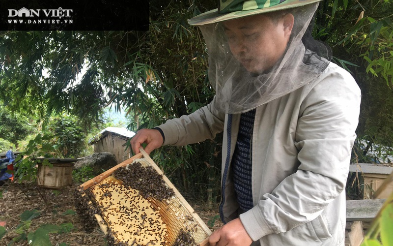 Thị trường Mỹ mua rất nhiều mật ong của Việt Nam để làm gì?