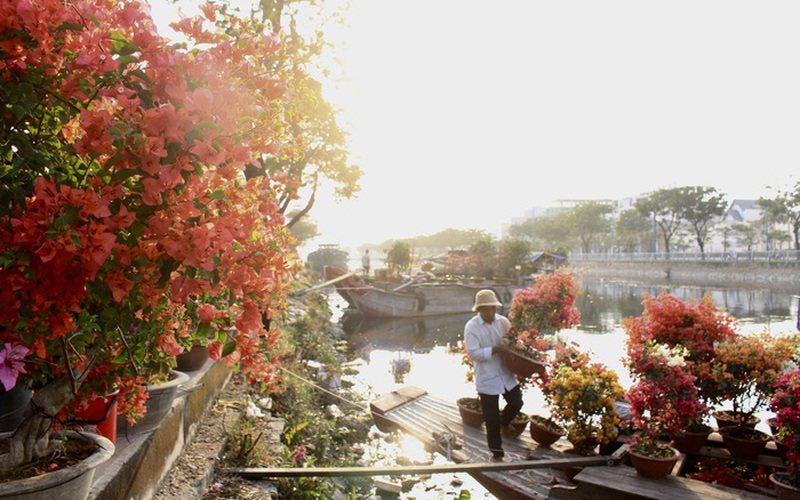 Chợ hoa xuân bến Bình Đông hoa trái khắp nơi đổ về, có múa lân, nấu bánh tét, phố Ông Đồ