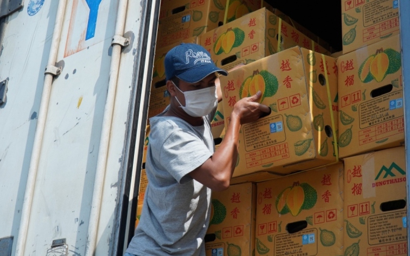 Nông sản Việt chinh phục những thị trường khó tính