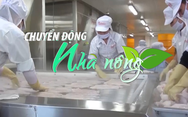 Chuyển động Nhà nông 20/2: Nhiều doanh nghiệp Việt Nam tham gia hội chợ thủy sản hàng đầu thế giới