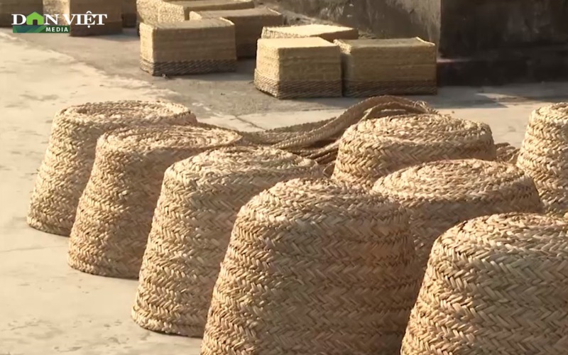 Nam Định: Độc đáo những sản phẩm thân thiện với môi trường làm từ cói