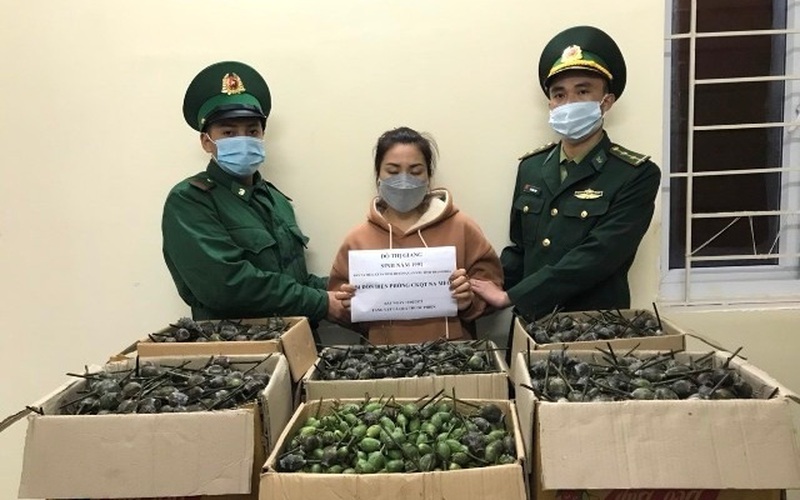 Thanh Hoá: Tóm gọn "nữ quái" vận chuyển trái phép 40kg quả thuốc phiện qua cửa khẩu Na Mèo
