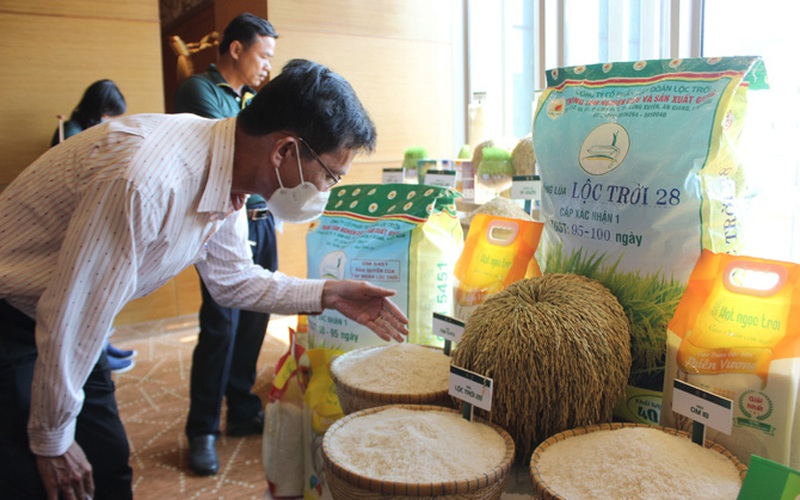 Tập đoàn Lộc Trời ký kết mua bán, tài trợ sản xuất 2 triệu tấn lúa cho nông dân ĐBSCL