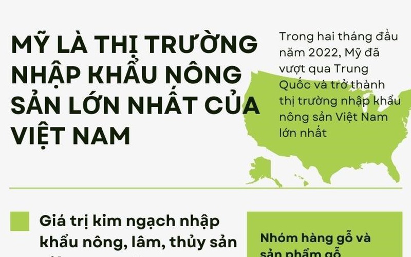 Mỹ trở thành thị trường nhập khẩu lớn nhất của Việt Nam