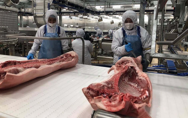 Trung Quốc tăng mua thịt lợn, doanh nghiệp Việt Nam loay hoay tìm đường xuất khẩu
