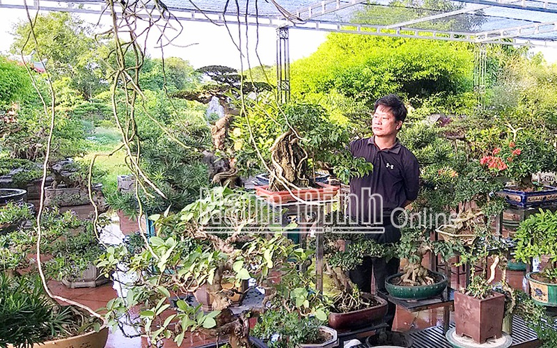 Ông tỷ phú nông dân Nam Định trồng cây cảnh, điều hành công ty gì mà doanh thu đạt 50-70 tỷ/năm?
