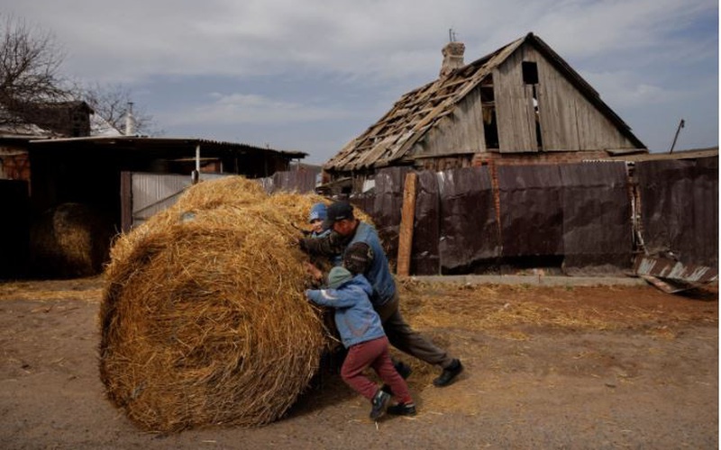 Chiến sự miền đông Ukraine gây hậu quả lâu dài với an ninh lương thực toàn cầu