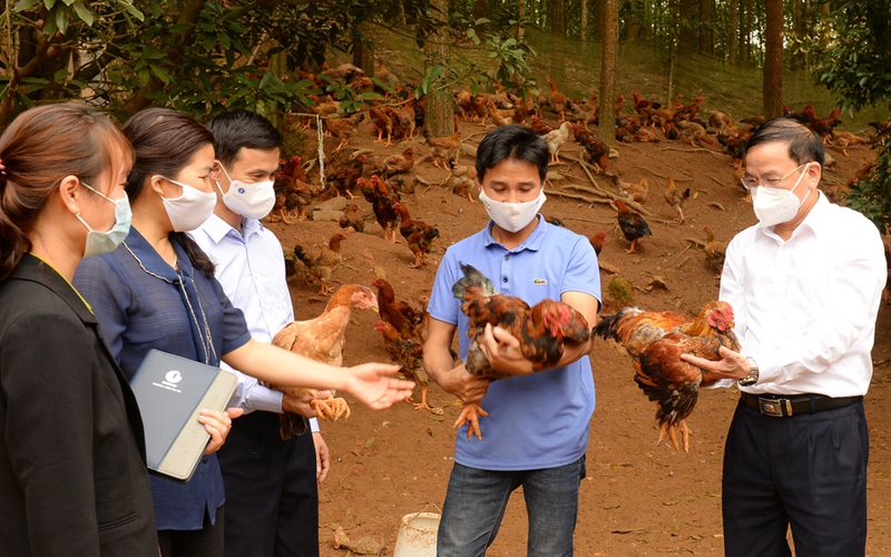 Bắc Giang: Phê duyệt Đề án Hội Nông dân là nòng cốt trong nâng cao chất lượng sản phẩm OCOP
