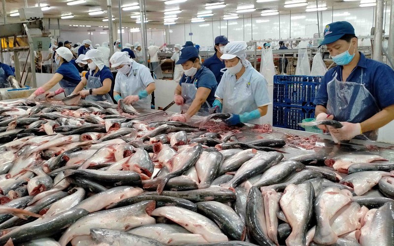 Thắng lớn ở thị trường Mỹ và Trung Quốc, ngành thủy sản mang về hơn 1 tỷ USD trong tháng 4