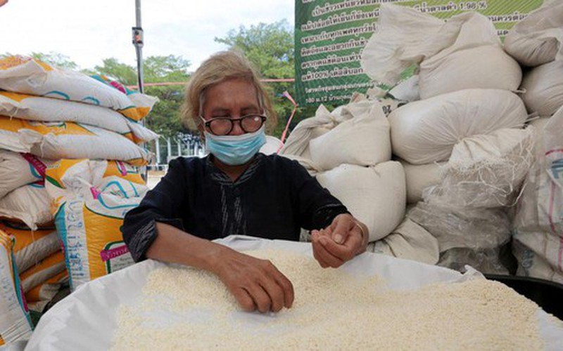 Giá gạo thế giới đang cao và khả năng sẽ còn tăng