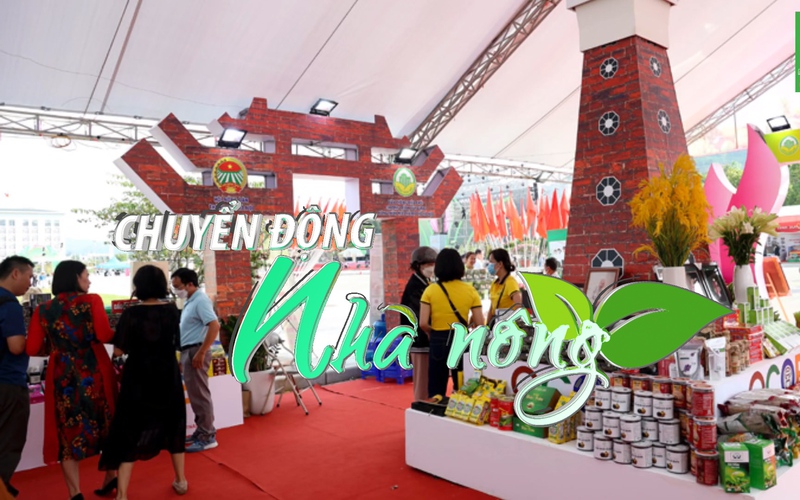 Chuyển động Nhà nông 19/6: Hà Nội tổ chức Festival nông sản, sản phẩm OCOP gắn kết du lịch Hà Nội 2022