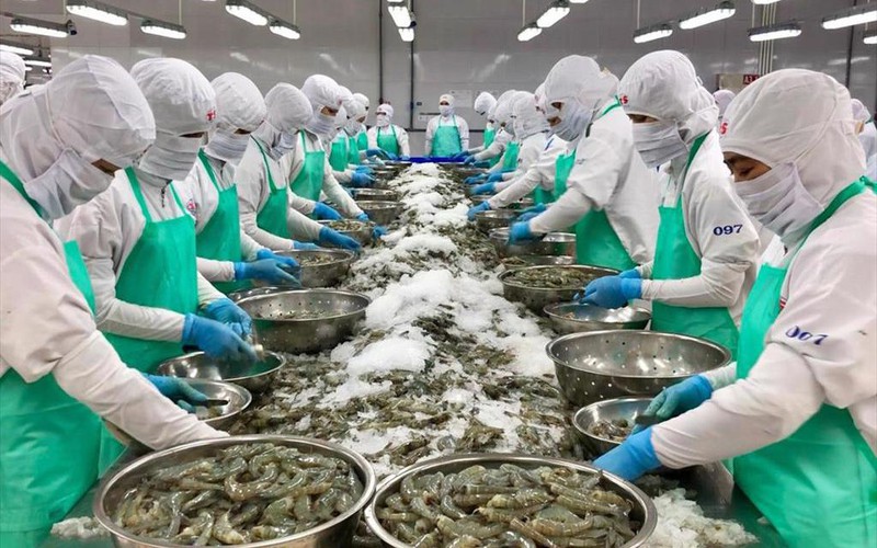 Mỹ đang là thị trường số 1 của nhiều loài thủy sản thế mạnh của Việt Nam