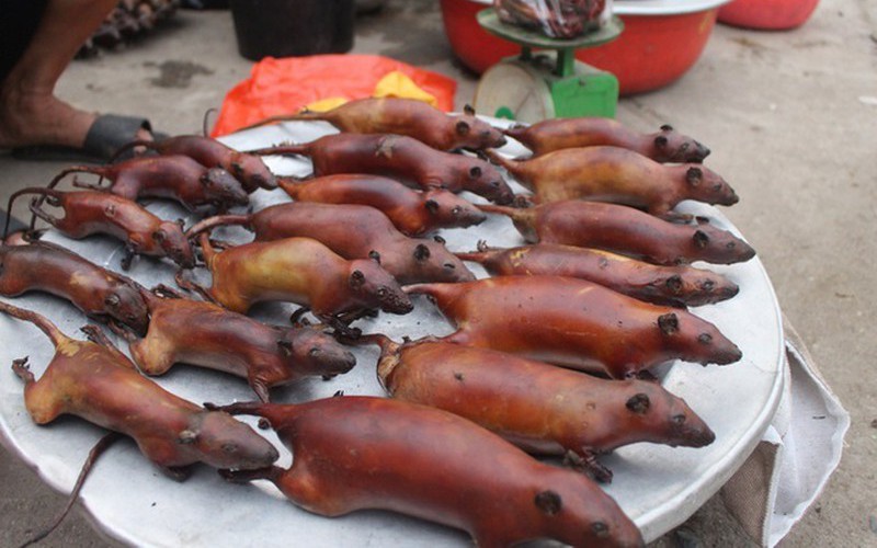 Về Hà Giang, nhớ thưởng thức đặc sản thịt chuột La Chí khiến bao người khóc thét