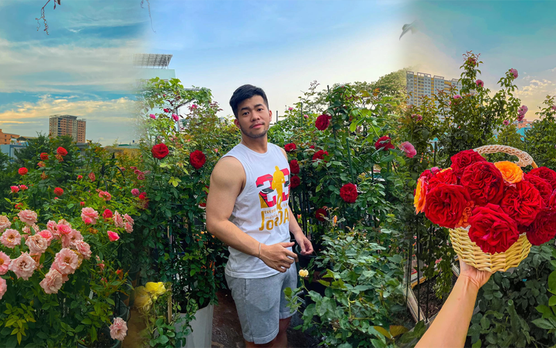 Chàng trai trẻ sở hữu vườn hồng đẹp ngất ngây trên sân thượng, càng trồng càng nghiện