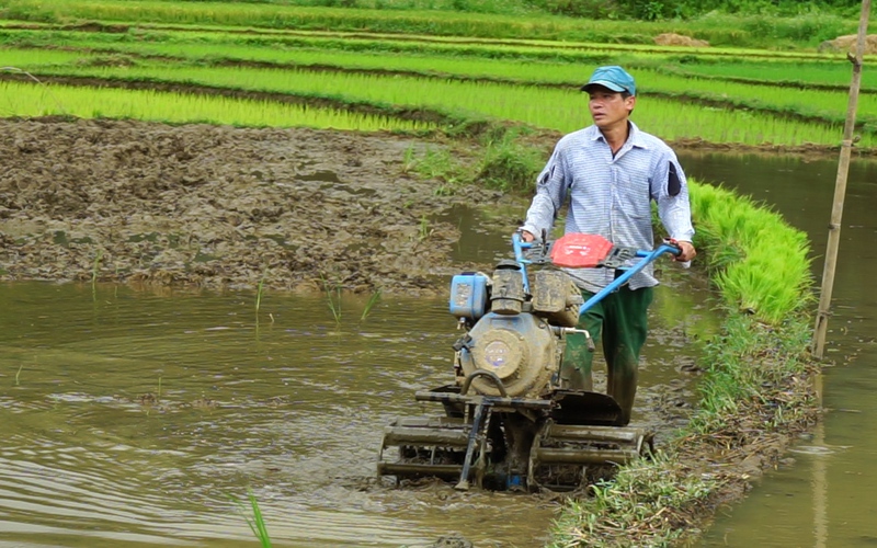 Sơn La: Chuyển đổi sang mô hình nông nghiệp hữu cơ, bản Bướt vươn mình thoát nghèo