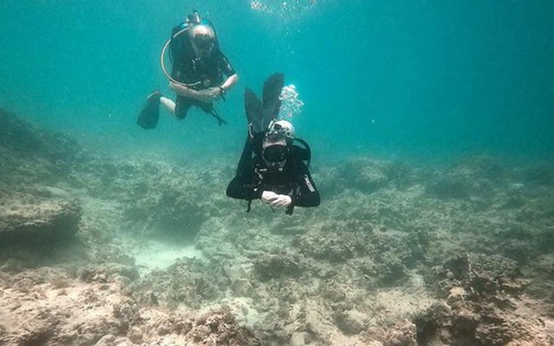 Nha Trang đề xuất lắp camera giám sát, bảo vệ san hô ở khu bảo tồn Hòn Mun