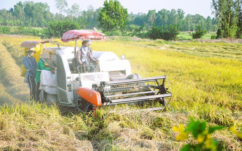 25- 30% tổng lượng khí thải ở Việt Nam từ sản xuất nông nghiệp