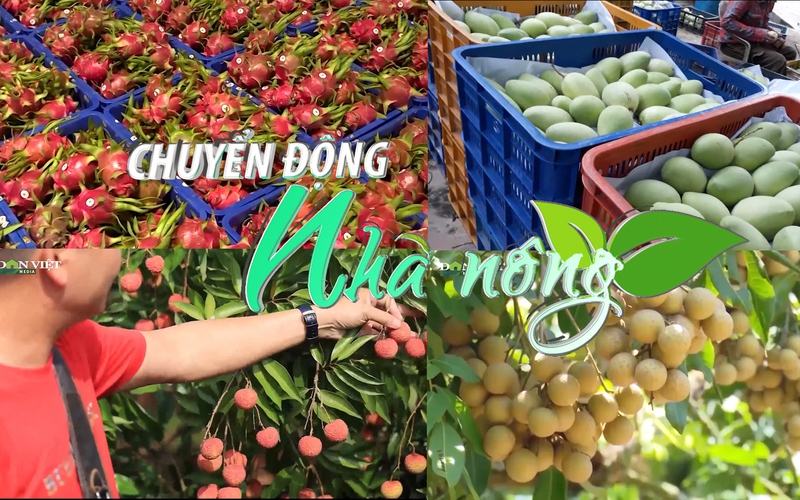 Chuyển động Nhà nông 16/8: Sắp ký nghị định thư xuất khẩu chính ngạch nhiều loại trái cây sang Trung Quốc