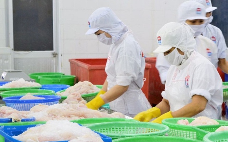 VASEP: Nhiều nhà nhập khẩu đã ngưng nhận đơn hàng đến tháng 10