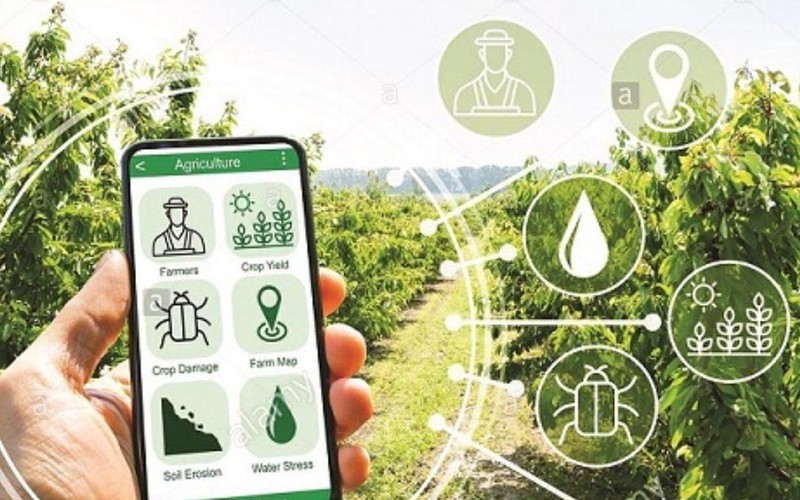 Ứng dụng công nghệ dự báo thị trường nông sản